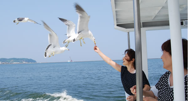 小樽港湾内コース