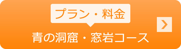 プラン・料金　青の洞窟・窓岩コース